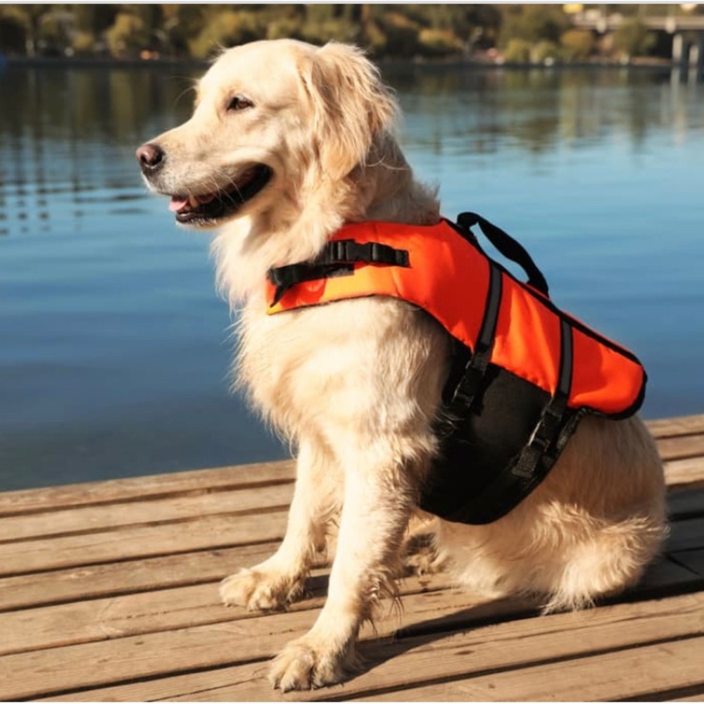 Lifeguard jacket - Picture 12 of 12